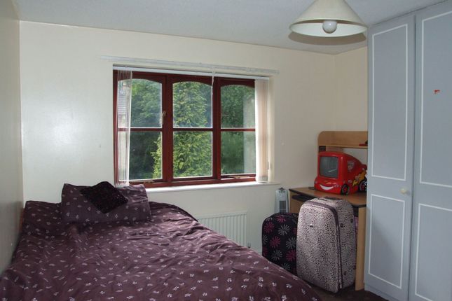 Photograph 20