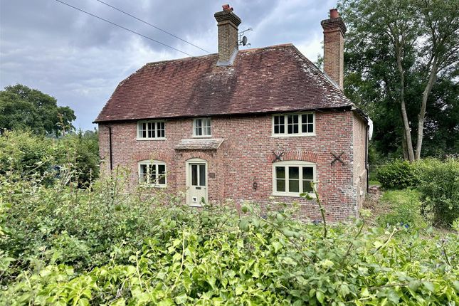 Thumbnail Detached house to rent in Peasmarsh, Rye