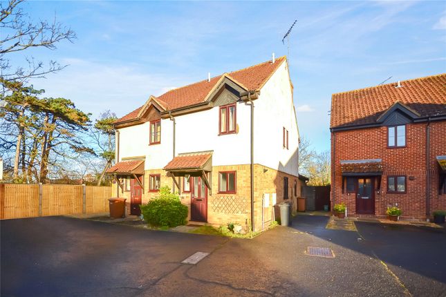 Thumbnail Semi-detached house to rent in Hillside Mews, Chelmsford, Essex
