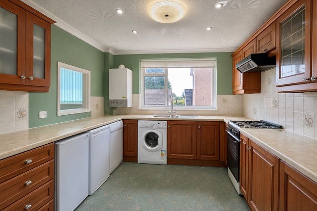 48, Pendwyallt Road, Cardiff photo 4