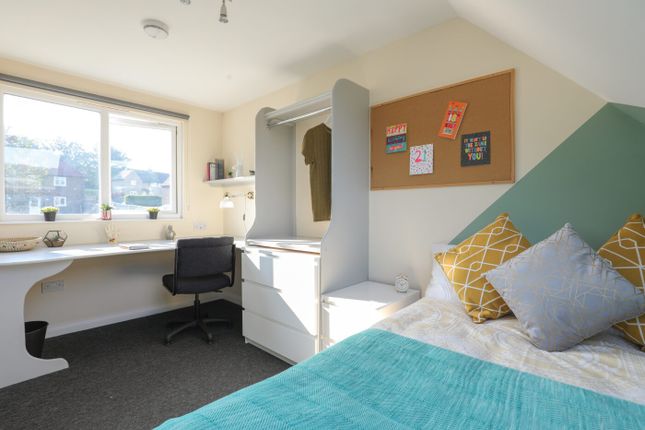 A Bright, Well-Maintained Bedroom Featuring A Doub...