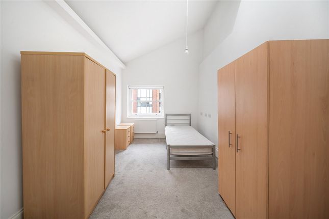 Rockhopper, 86a, Fulham Road, London photo 4
