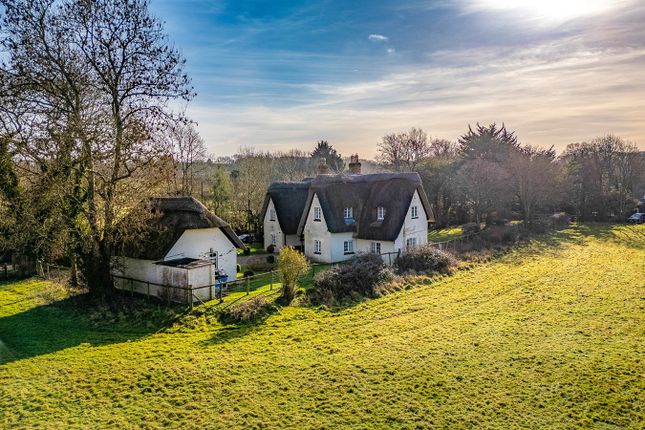 Thumbnail Cottage for sale in South Gorley, Fordingbridge