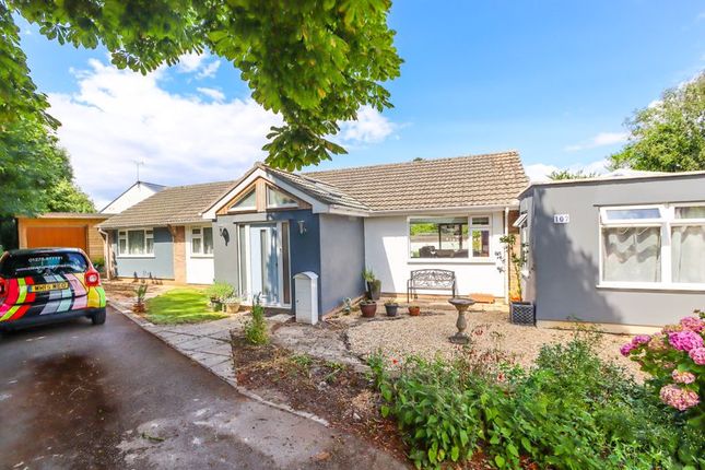 Thumbnail Detached bungalow for sale in Old Park Road, Clevedon
