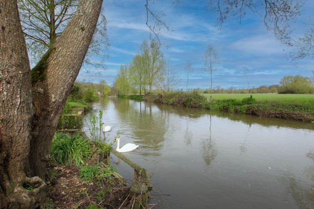 Thumbnail Detached house for sale in High Street, Spetisbury