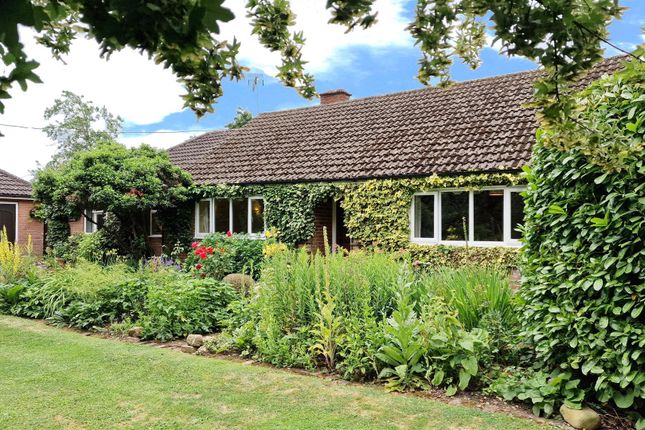 Thumbnail Detached bungalow for sale in Giffords Lane, Haultwick, Nr. Ware