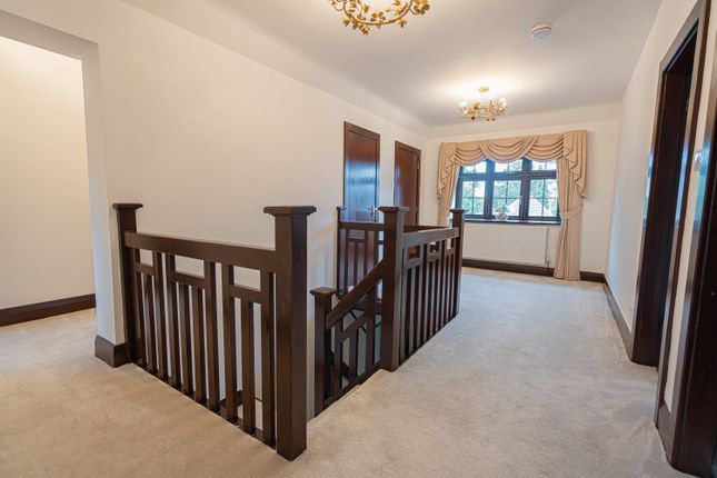 20250801-Dsc0591520250801