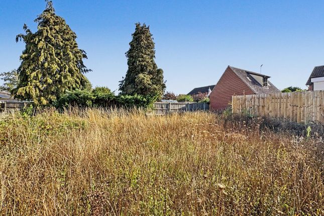 Jefferys, Gipping Road, Stowmarket photo 4