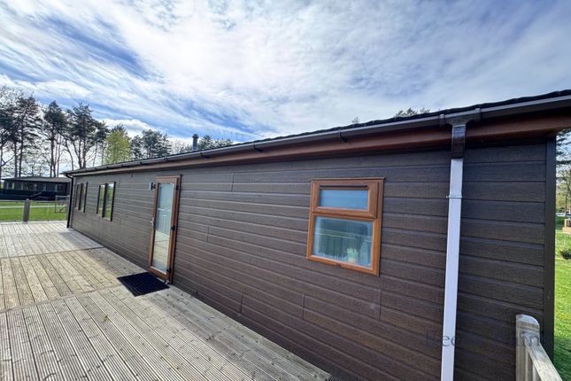 Tingdene - Hollicars Holiday Park,, York Road, York photo 4