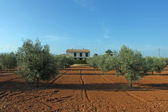 Country house for sale in Spain, Mallorca, Marratxí