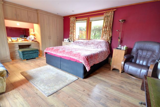 Moles Chamber,, Sandy Lane, West Sussex photo 4