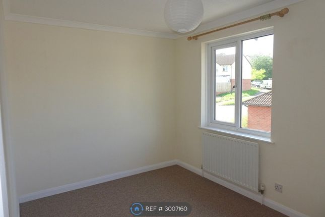 Argus Close, Honiton photo 5