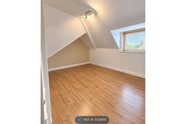 Flat   Sunny Bank, Hull photo 3