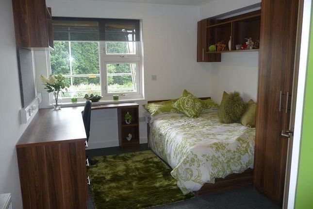 Flat to rent in Flat 8, Plymbridge Lane, Derriford, Plymouth