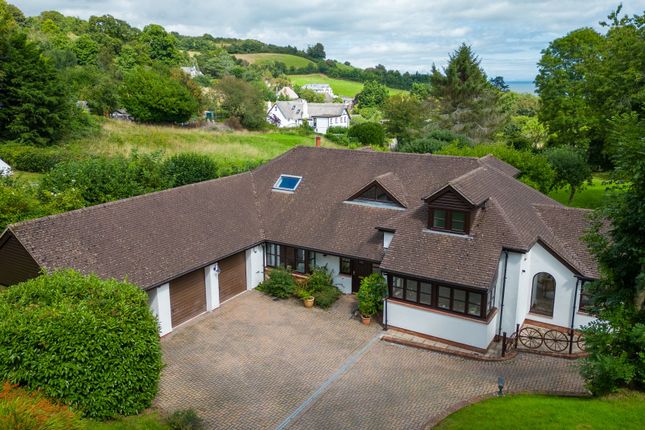 Thumbnail Detached house for sale in Brim Hill, Torquay