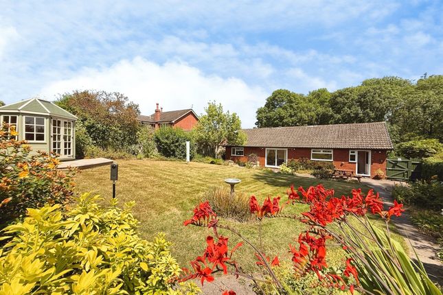 Mayesbrook Majestic Way, Telford photo 4