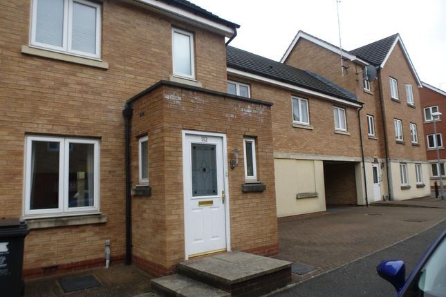 Thumbnail Property to rent in Padstow Road, Swindon