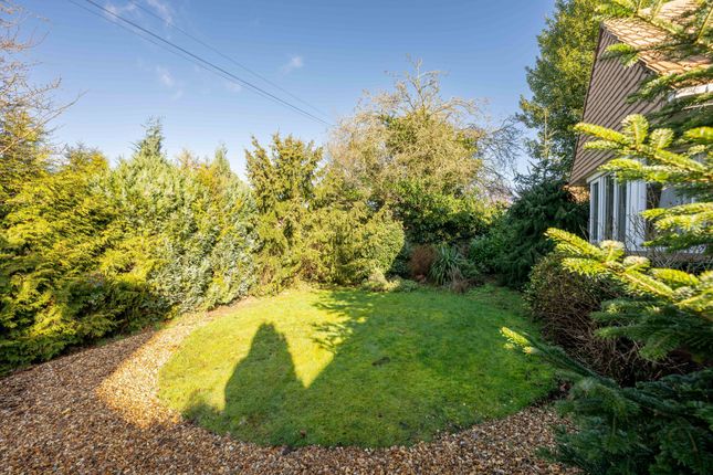 Detached bungalow for sale in Broomhill, Downham Market