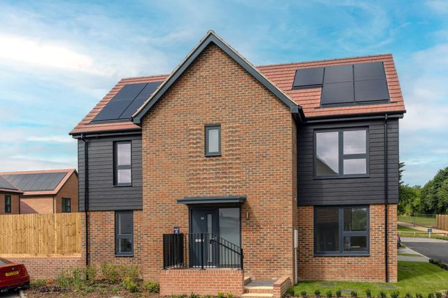 The Linnets, Number 48