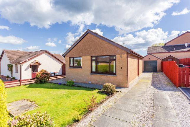 Thumbnail Bungalow for sale in Oakfield Court, Dumfries