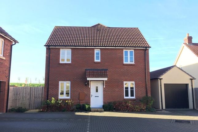 Semi-detached house to rent in Canal View, Bathpool, Taunton