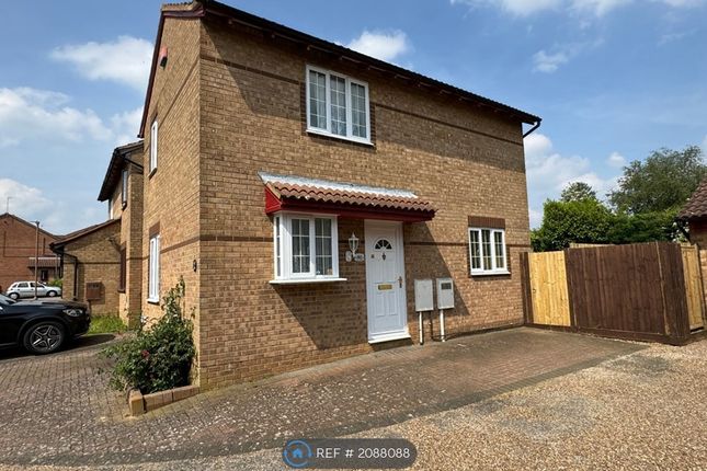 Detached house to rent in Hexham Gardens, Bletchley, Milton Keynes