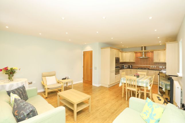 10 Hillfoot Court, Sheffield photo 3