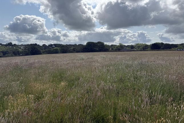 Land At Castle Meadow 1.Jpg