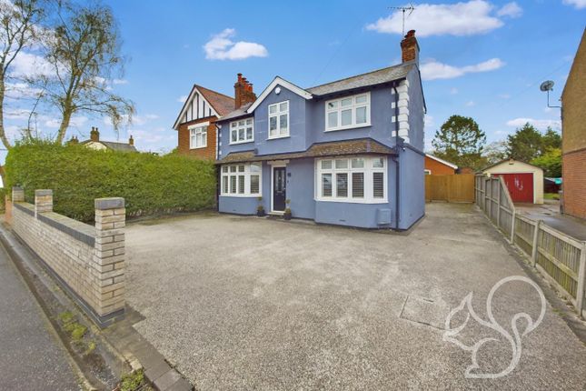 Thumbnail Detached house to rent in Ipswich Road, Colchester