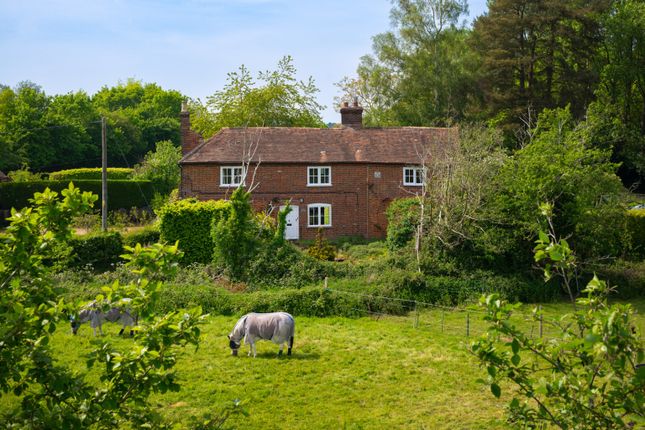 Orchard Mount, Primrose Hill, Canterbury photo 3