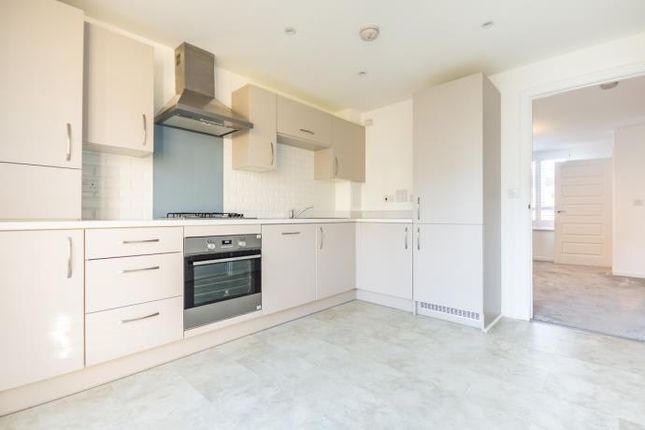 Fireclay Walk, Edinburgh, EH15, Edinburgh photo 4