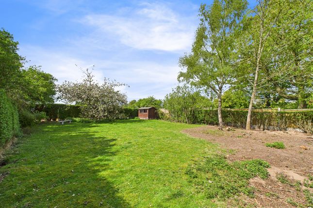 Secondary Section Of Rear Garden