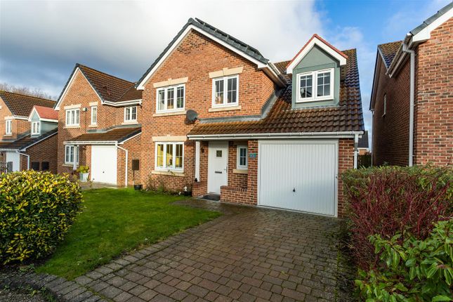 Thumbnail Detached house for sale in Birch View, Chester Le Street