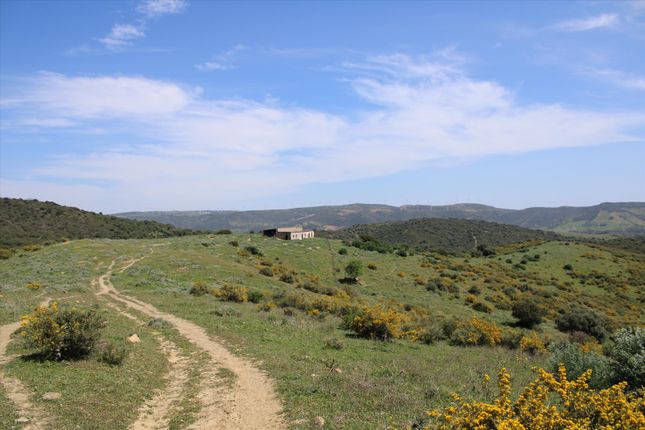 Property for sale in San Martin Del Tesorillo, Sotogrande, Andalucía, Spain