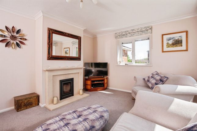 20, Southay, Westbury photo 4