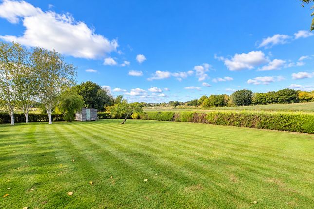 Staplehurst photo 2