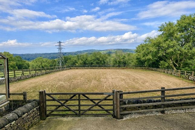 Chew Valley Stables, Glossop photo 4