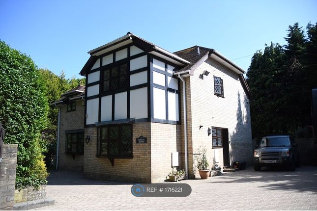 Thumbnail Detached house to rent in Lower Buckland Road, Lymington