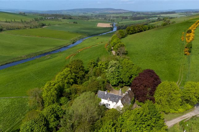 Old Mayen, By Huntly photo 3