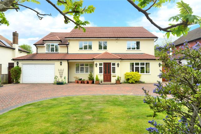 Thumbnail Detached house for sale in Wilbury Avenue, Cheam, Sutton