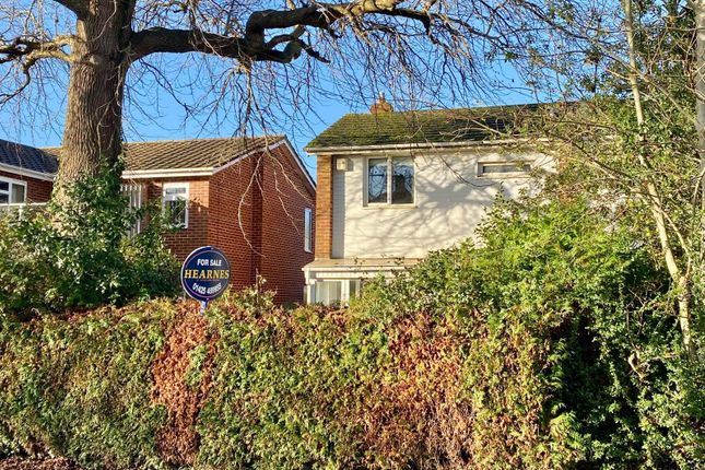 2 Stephens Walk, Ringwood photo 3