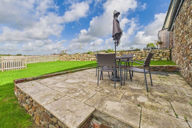 Lodgeworthy Farm, Holsworthy photo 3