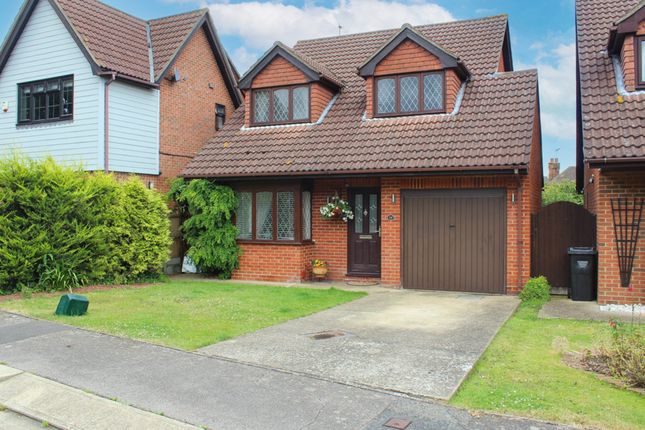 Thumbnail Detached house for sale in Jacks Close, Wickford