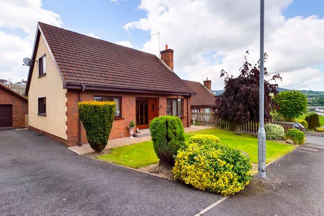 Thumbnail Detached bungalow for sale in Windmill Place, Newry