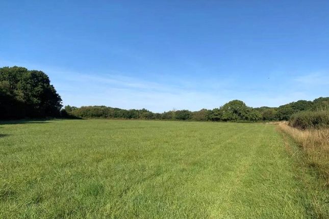Land for sale in Exbourne, Okehampton, Devon