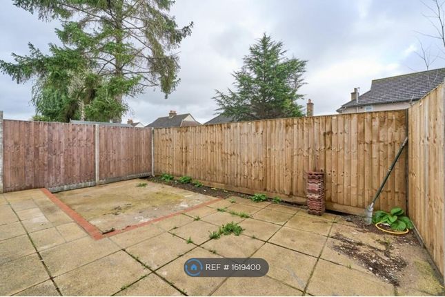 Semi-detached house to rent in Minniedale, Surbiton