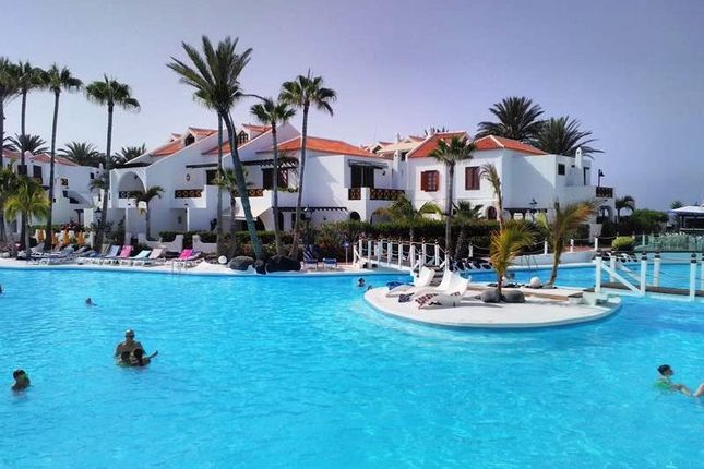 Apartments For In Playa De Las Americas Tenerife Canary Thumbnail Apartment For In Parque Santiago Iii Playa De Las Americas Tenerife