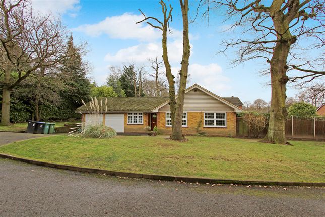 Thumbnail Detached bungalow to rent in Forest Road, Pyrford, Woking
