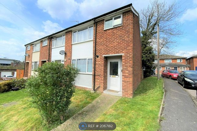 Thumbnail Semi-detached house to rent in Tanhouse Lane, Wokingham