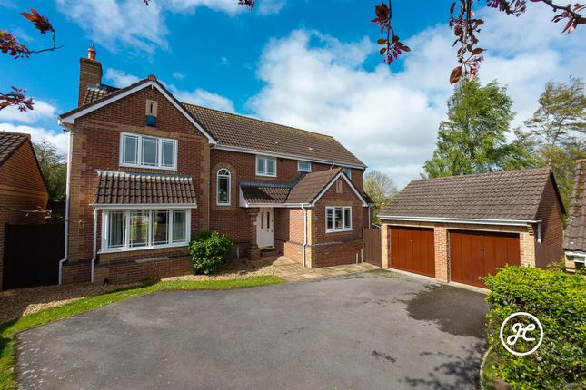 Thumbnail Detached house for sale in Quantock Way, Bridgwater